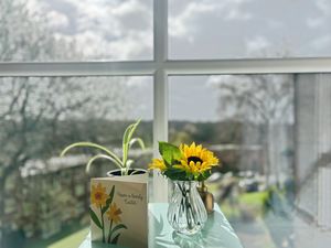 Photo 4- click for photo gallery